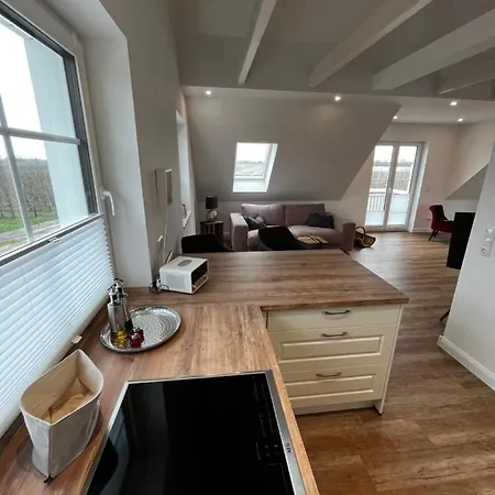Apartment Muggelhuus Loft Mit Elbdeichblick Im Alten Land Und Mit Wallbox Twielenfleth