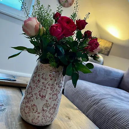 Muggelhuus Loft Mit Elbdeichblick Im Alten Land Und Mit Wallbox * Hollern-Twielenfleth