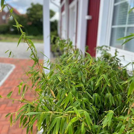 Muggelhuus Loft Mit Elbdeichblick Im Alten Land Und Mit Wallbox Appartement