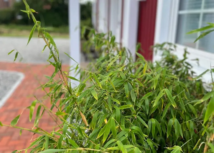 Muggelhuus Loft Mit Elbdeichblick Im Alten Land Und Mit Wallbox Apartmán
